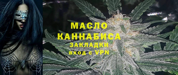 винт Абаза