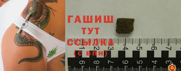 прущие грибы Абинск