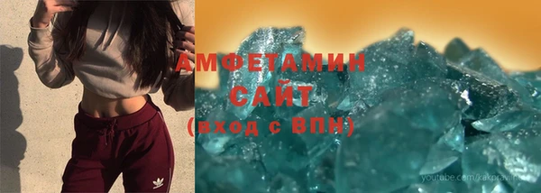 прущие грибы Абинск