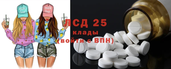 прущие грибы Абинск