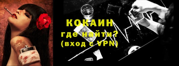 прущие грибы Абинск