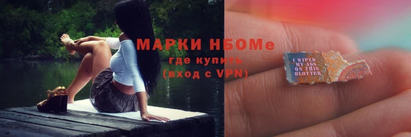 прущие грибы Абинск