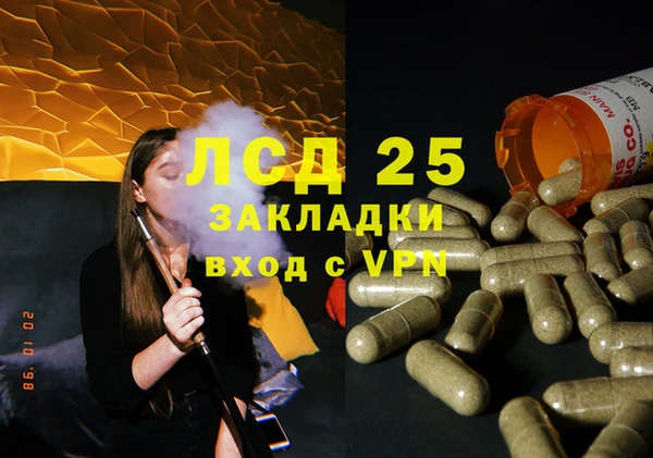 прущие грибы Абинск