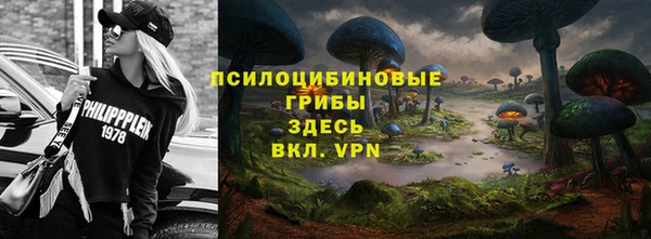 винт Абаза