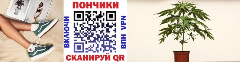 гидра ссылки  Камень-на-Оби  Каннабис сатива 